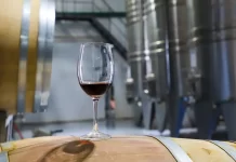 Neuquén celebra el Día Mundial del Malbec con propuestas en toda la provincia