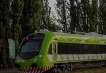 VUELVE EL TREN PATAGONICO
