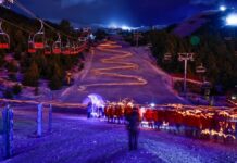 De la montaña al mar: Río Negro impulsa su temporada de invierno con la Fiesta de la Nieve en Bariloche y el avistaje de Fauna Marina en la costa