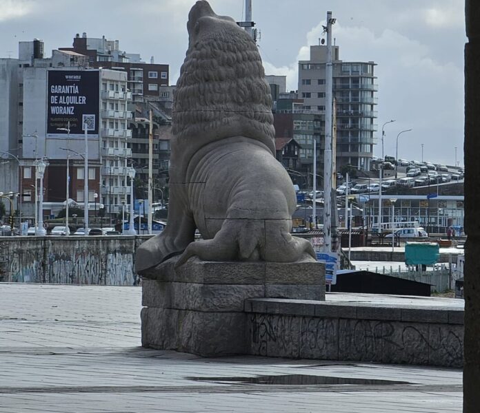 Mar-del-plata-Lobo-Marino-JUL-2024-a-1068x921