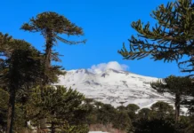 El volcán Copahue fue seleccionado para competir entre “Montañas de Fama Mundial”