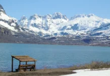 Epu Lauquen, un refugio de bosques únicos y fauna de los Andes neuquinos